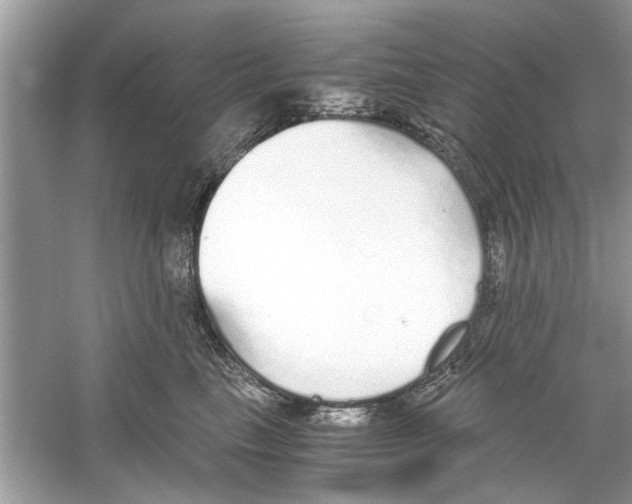 X0000059800665200511181516