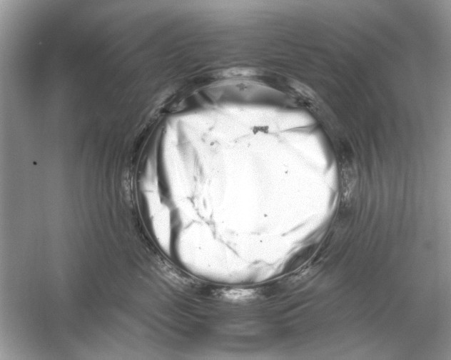 X0000059800669200511181516