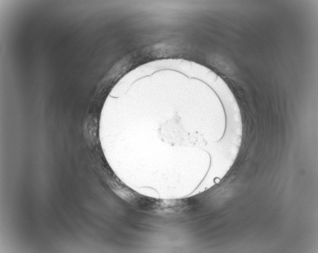 X0000059800672200511181516