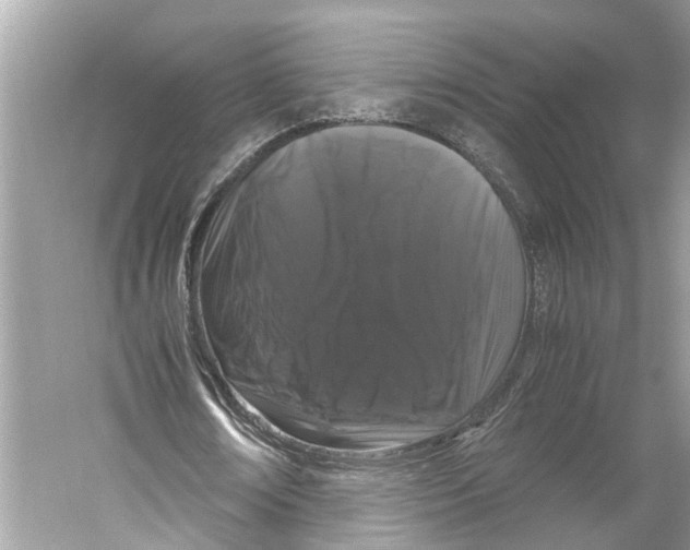 X0000059800674200511181515