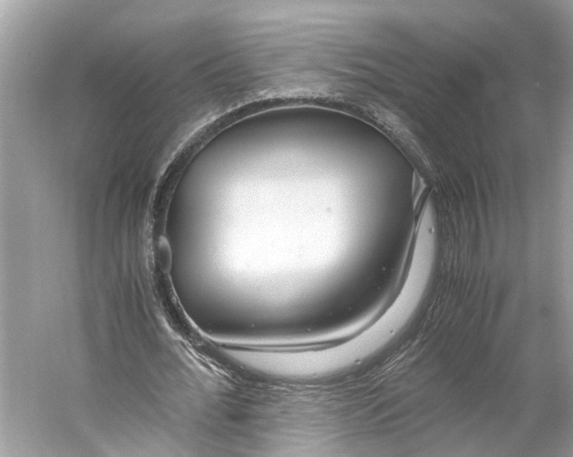 X0000059800676200511181515