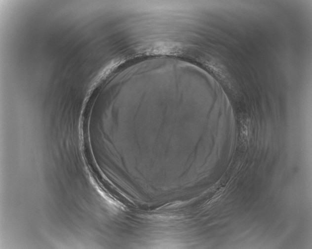 X0000059800678200511181515