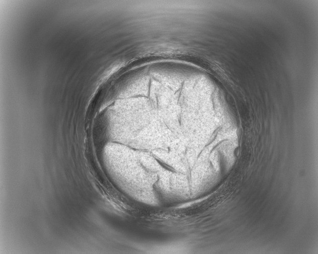 X0000059800679200511181515