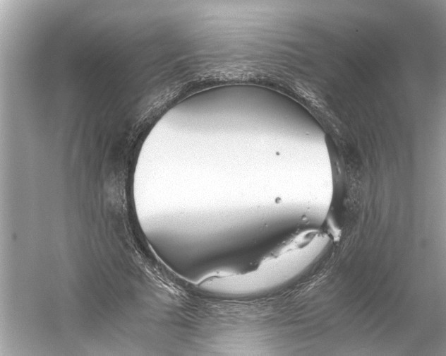 X0000059800681200511181515