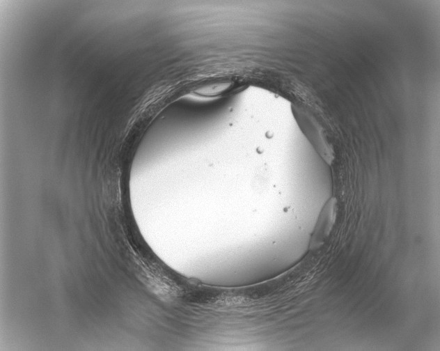 X0000059800685200511181515