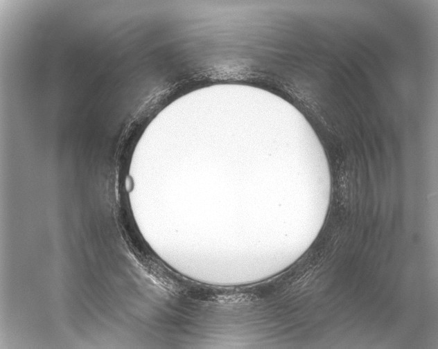 X0000059800686200511181515