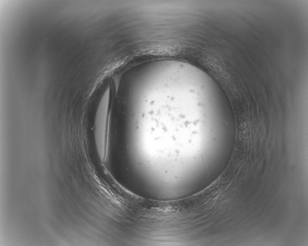 X0000059800688200511181515