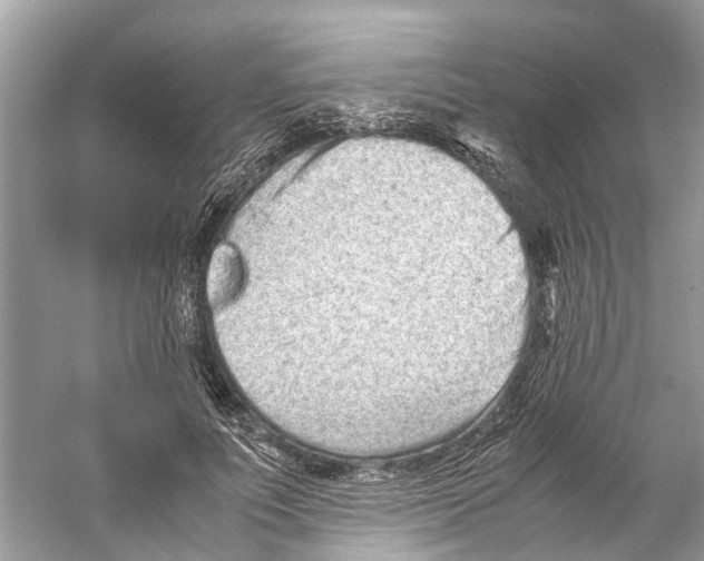 X0000059800691200511181515