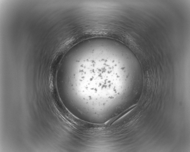 X0000059800692200511181515