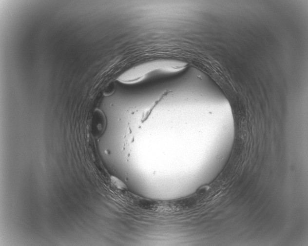 X0000059800697200511181515