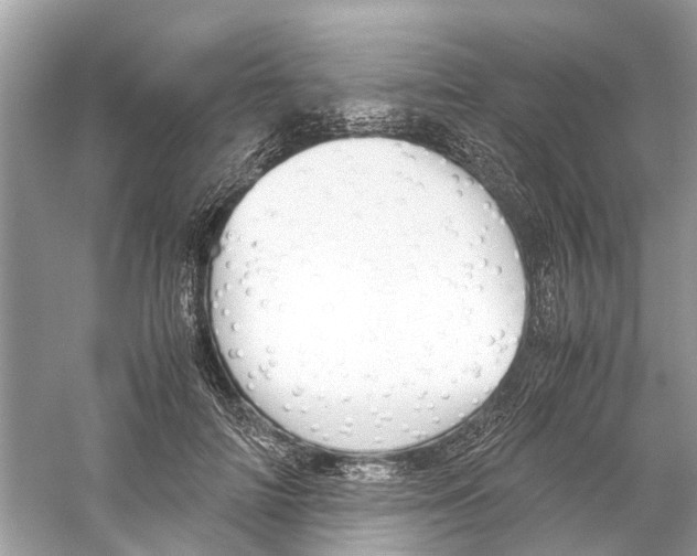 X0000059800698200511181515