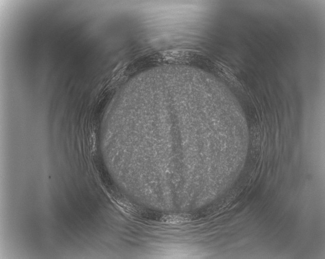 X0000059800703200511181515