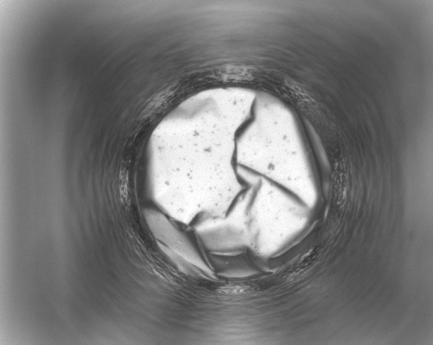 X0000059800704200511181515