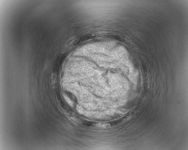 X0000059800711200511181514