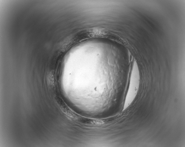 X0000059800715200511181514