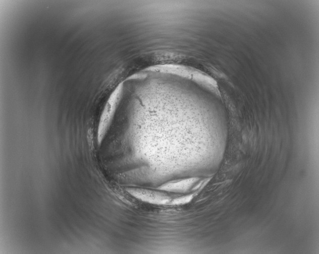 X0000059800716200511181514