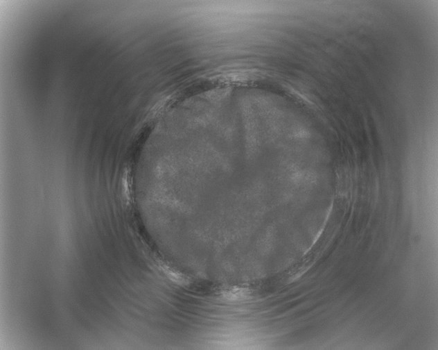 X0000059800718200511181514