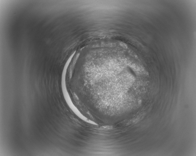 X0000059800720200511181514