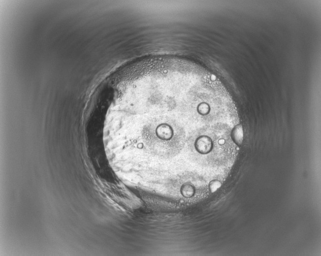 X0000059800721200511181513