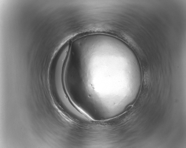 X0000059800722200511181513