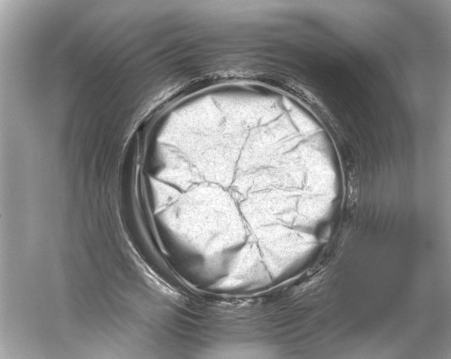 X0000059800725200511181513