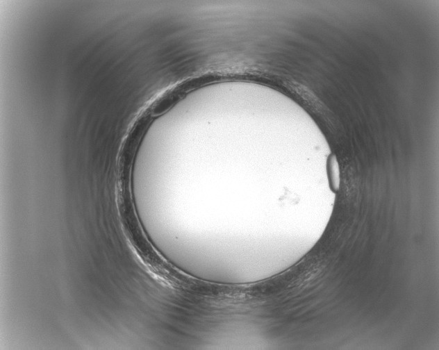 X0000059800728200511181514