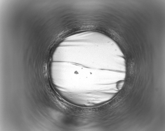 X0000059800729200511181514