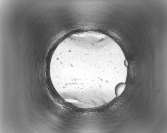 X0000059800730200511181514