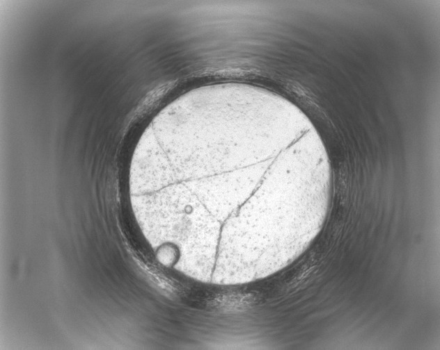 X0000059800734200511181514