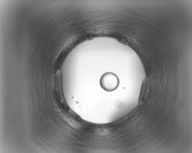 X0000059800735200511181514