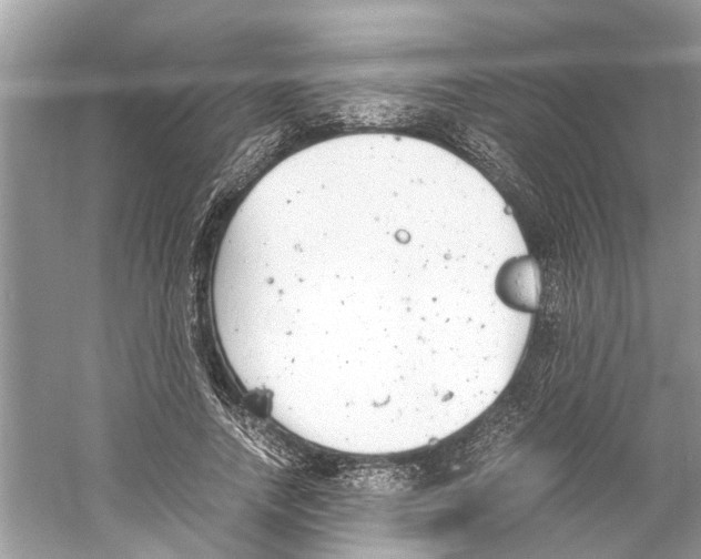 X0000059800738200511181514