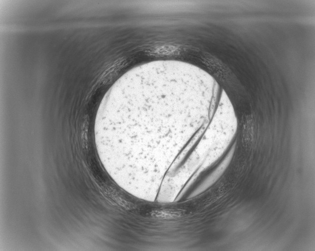 X0000059800739200511181514