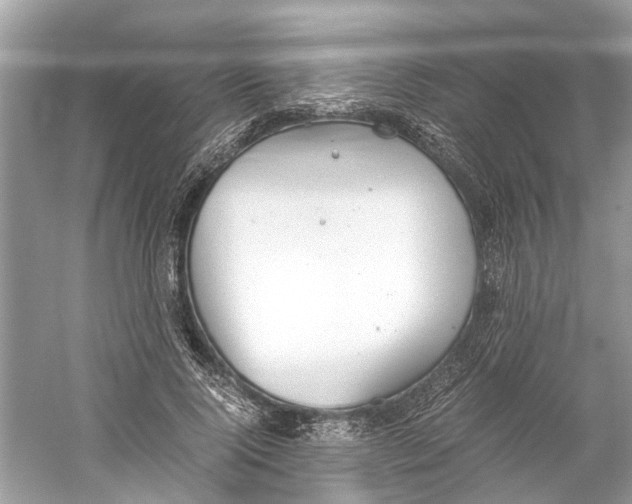 X0000059800740200511181514