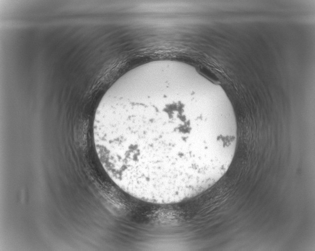 X0000059800742200511181514