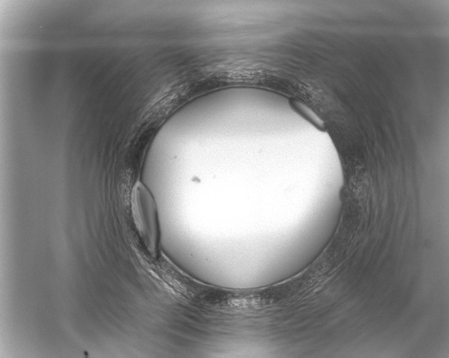 X0000059800744200511181514