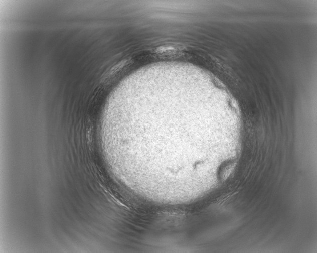 X0000059800745200511181514