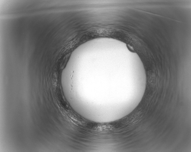 X0000059800752200511181514