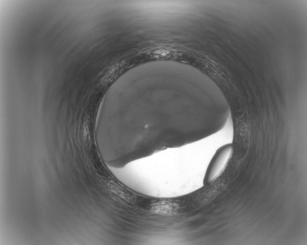 X0000059800754200511181514