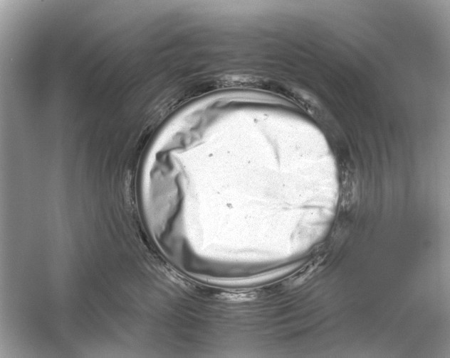 X0000059800765200511181514