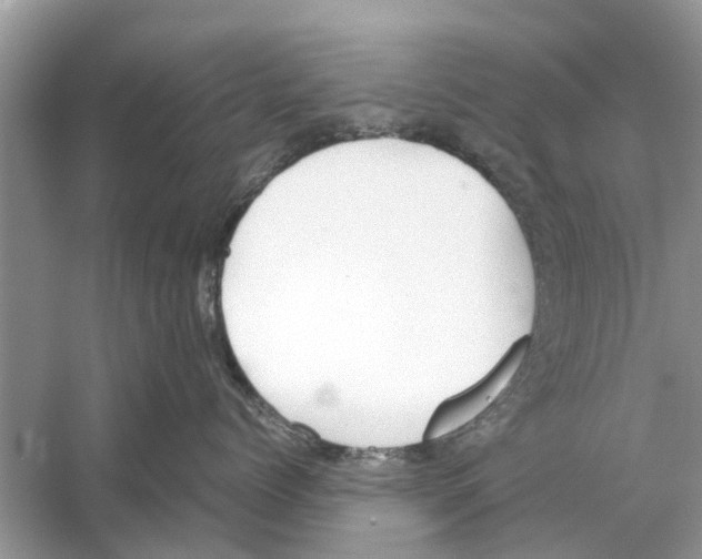 X0000059800768200511181514