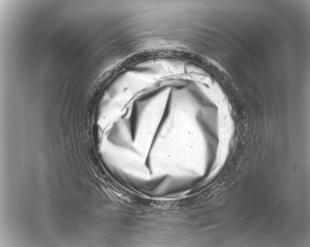 X0000059800775200511181513