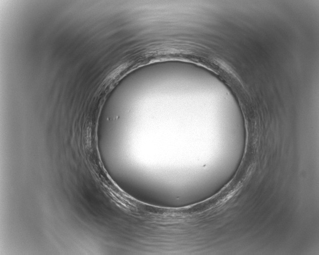 X0000059800777200511181513