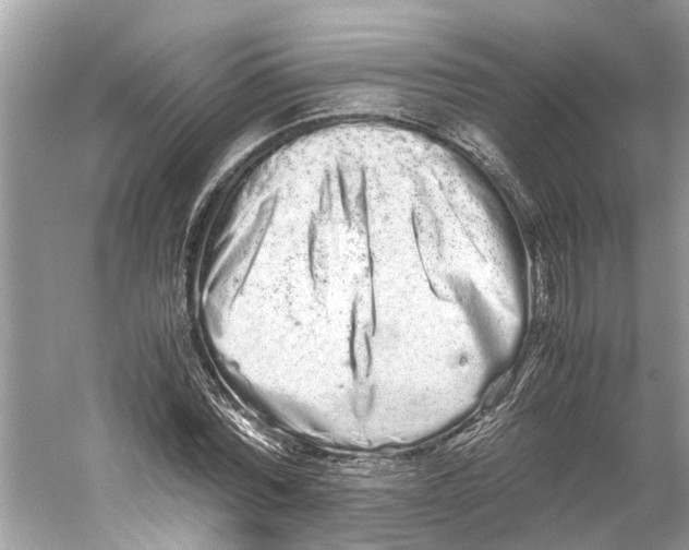 X0000059800780200511181513