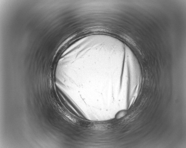 X0000059800782200511181513