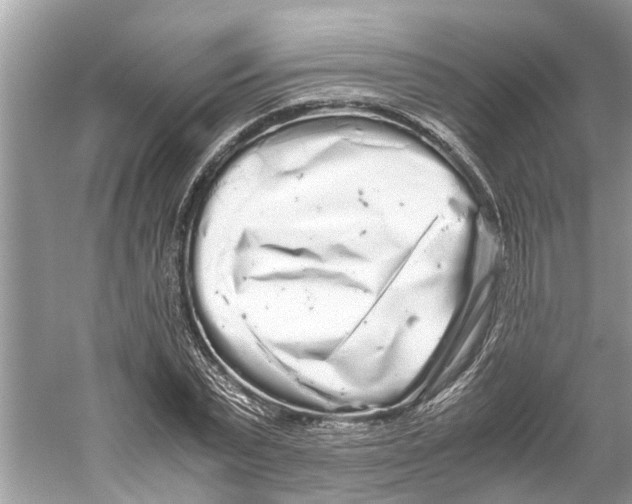 X0000059800783200511181513