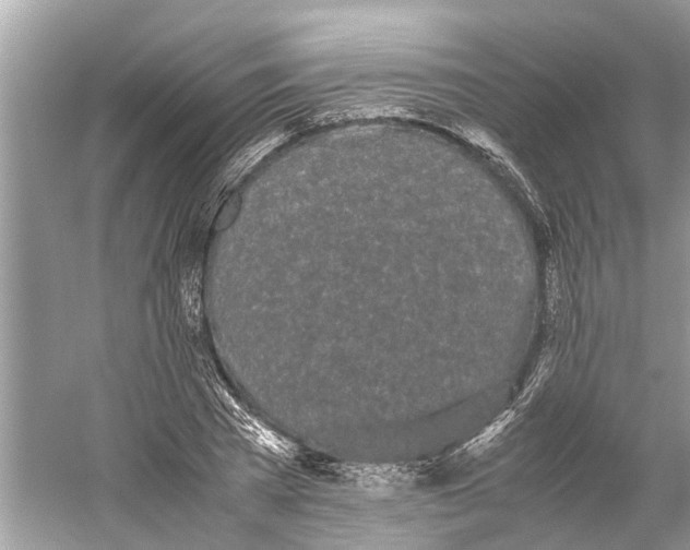 X0000059800785200511181513