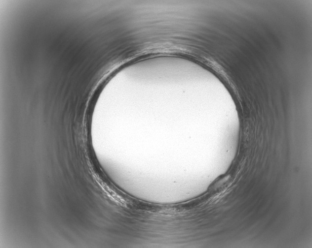 X0000059800787200511181513