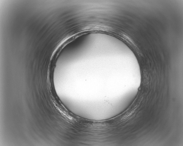 X0000059800788200511181513