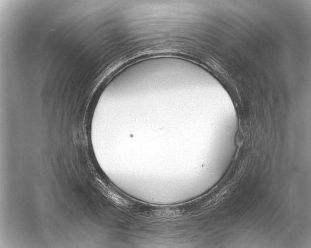 X0000059800789200511181513