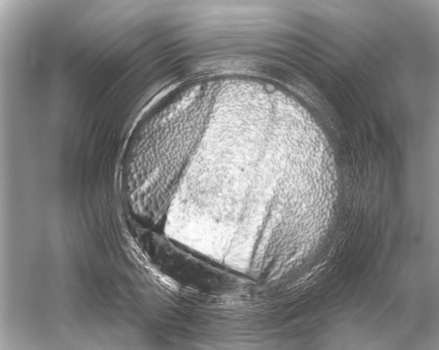 X0000059800790200511181513